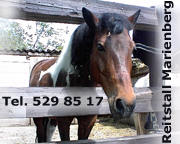 ob Ponydame  Whisky oder flotter Hengst - im Reitstall Marienberg (Nürnberg) kommen sich Mensch und Pferd gern näher